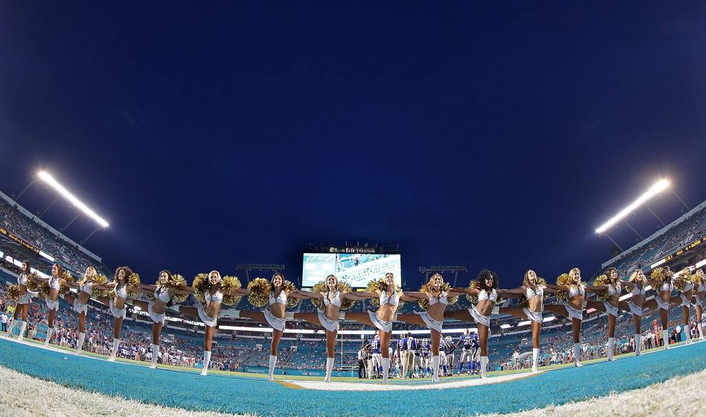 Le cheerleader dei Miami Dolphins (Afp)